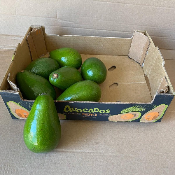 AVOKADO / avocado