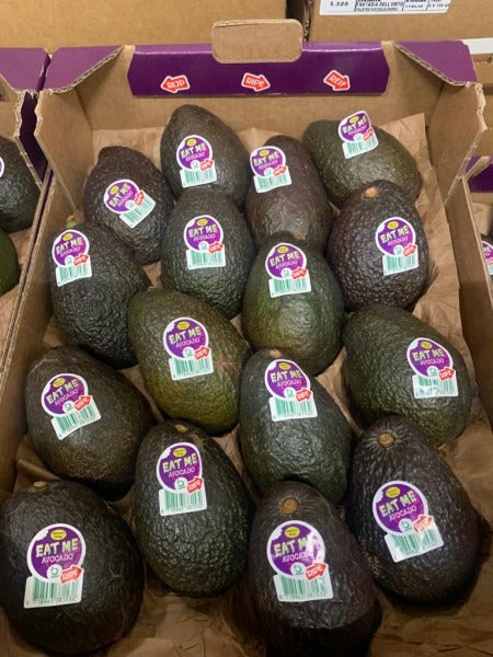 AVOKADO HASS / hass avocado