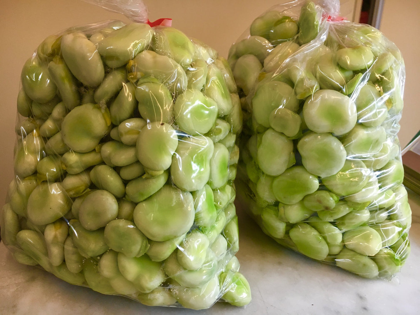 BOB KG / broad bean kg