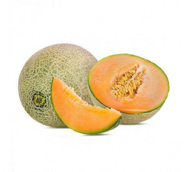 MELON KANTALUPA / cantaloupe melon