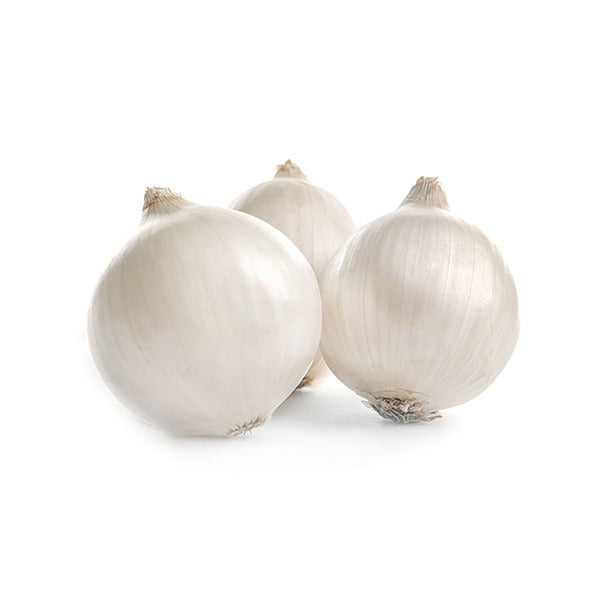 CEBULA CZOSNKOWA / garlic white onion