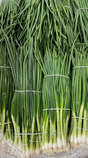 CEBULA DYMKA / spring onions