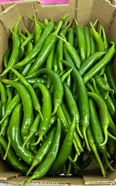 PAPRYKA CHILLI ZIELONA / green chilli pepper