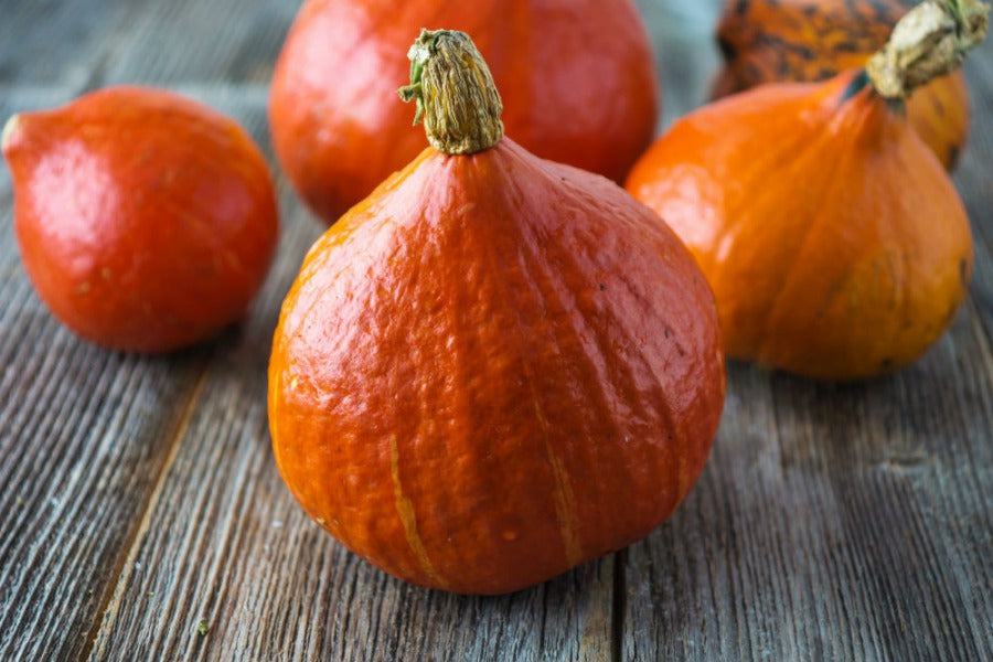 DYNIA HOKKAIDO / red kuri squash