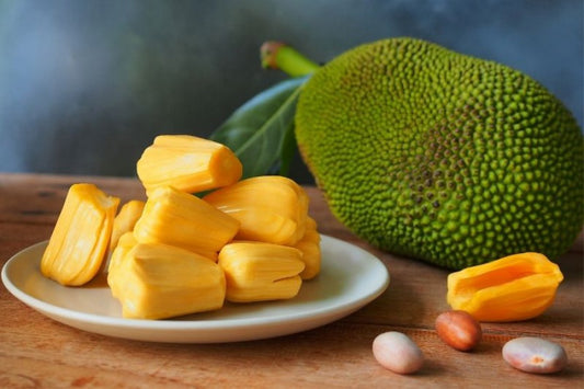 JACKFRUIT / jackfruit