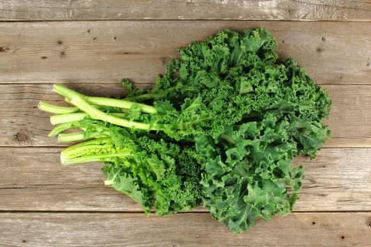 JARMUZ / fresh kale