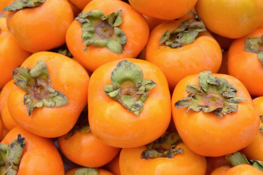 KAKI / persimmon