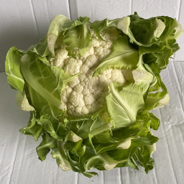 KALAFIOR / cauliflower