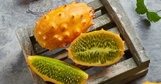 KIWANO / kiwano melon