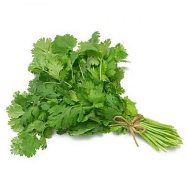 KOLENDRA CIETA / fresh coriander