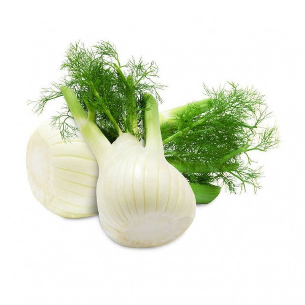 KOPER WLOSKI BULWA / fennel