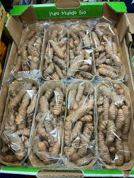 KURKUMA / turmeric root