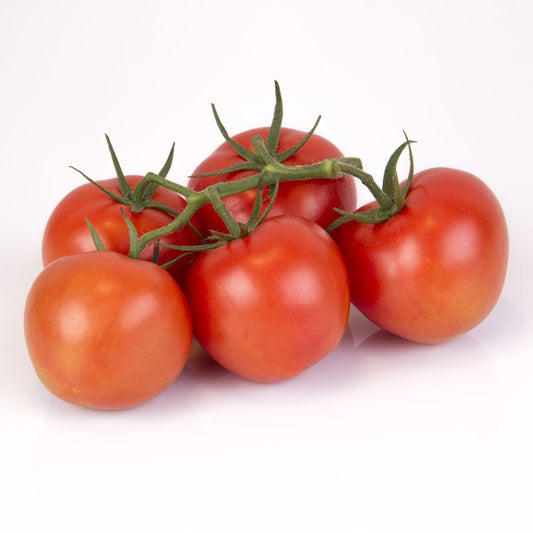 POMIDOR GALAZKA CZERWONY / vine tomato