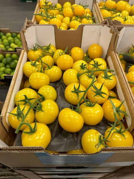 POMIDOR GALAZKA ZOLTY / yellow vine tomato