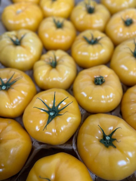 POMIDOR ZOLTY OKRAGLY / yellow round tomato