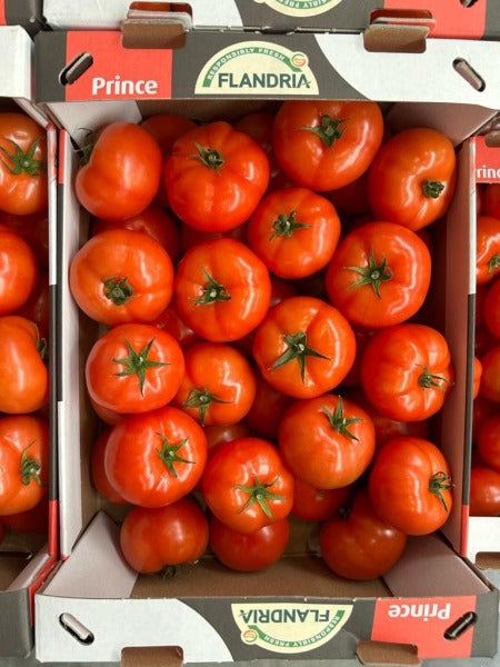 POMIDOR ZWYKLY IMPORT / red tomato lose