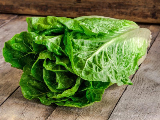 SALATA RZYMSKA / romaine lettuce