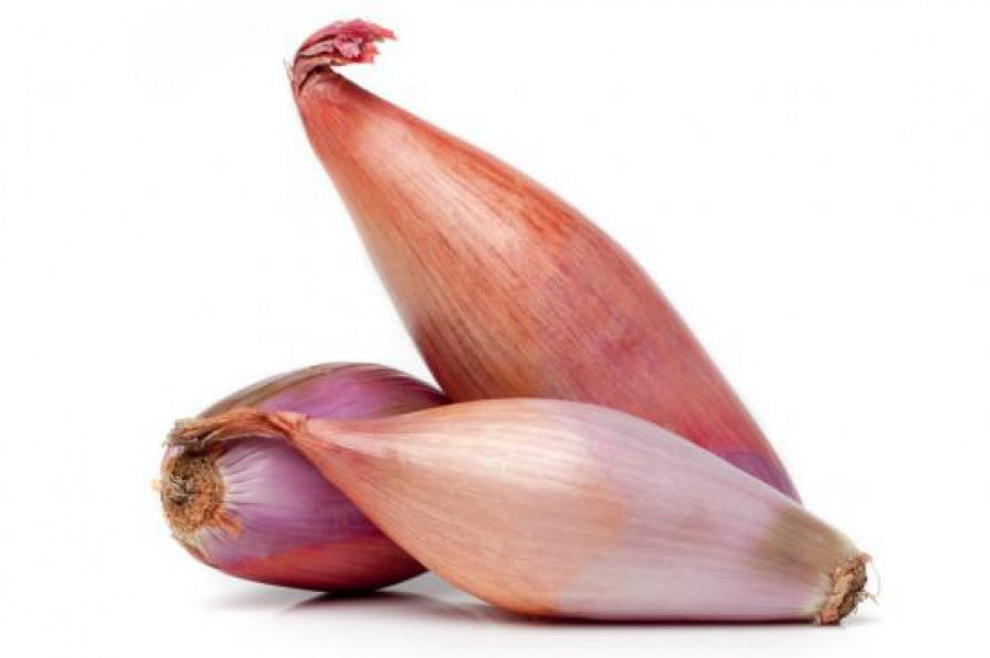 CEBULA SZALOTKA / shallot