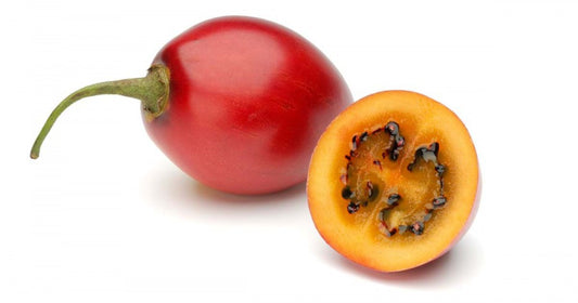 TAMARILLO / tamarillo fruit