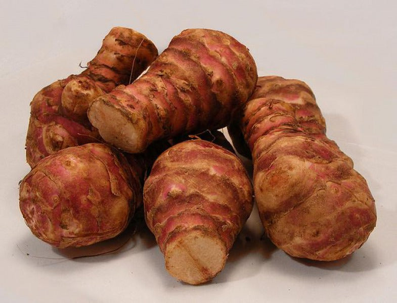 TOPINAMBUR / jerusalem artichoke