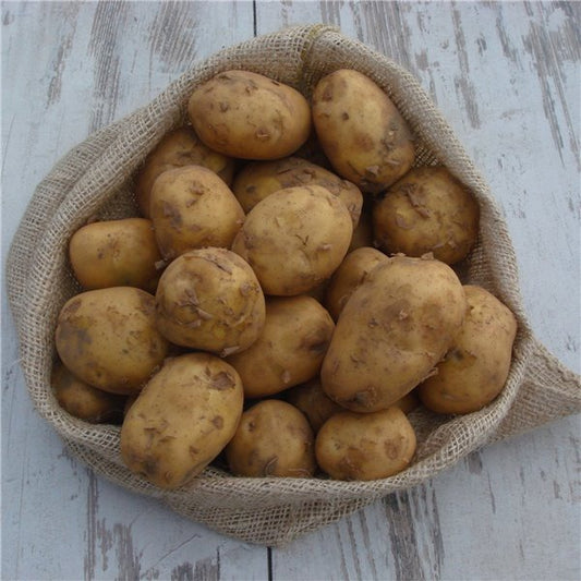 ZIEMNIAK LUZ POLSKA / potatoes lose Polish